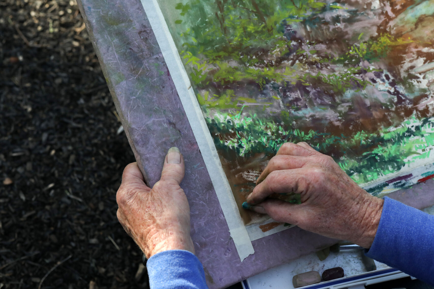 Linda Wilmes highlights her pastel painting